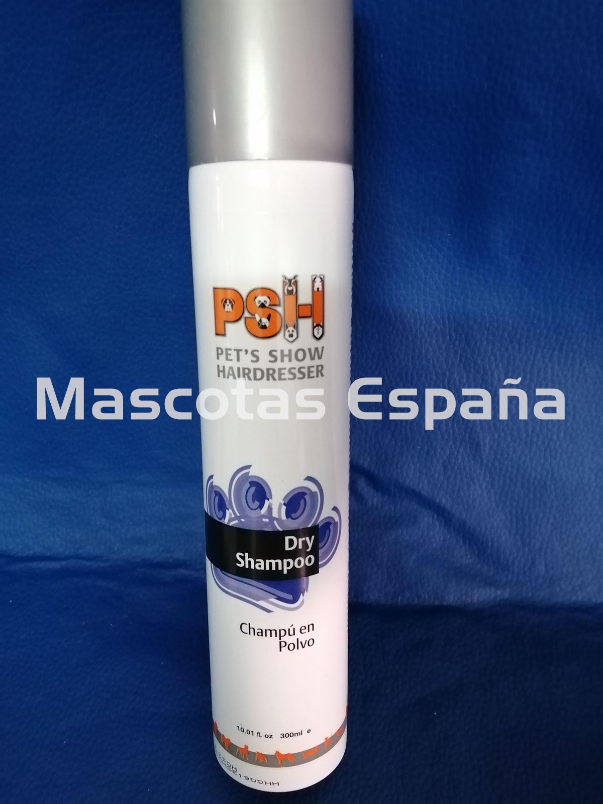 PSH Dry Shampoo (Champú en polvo) 300ml - Imagen 1