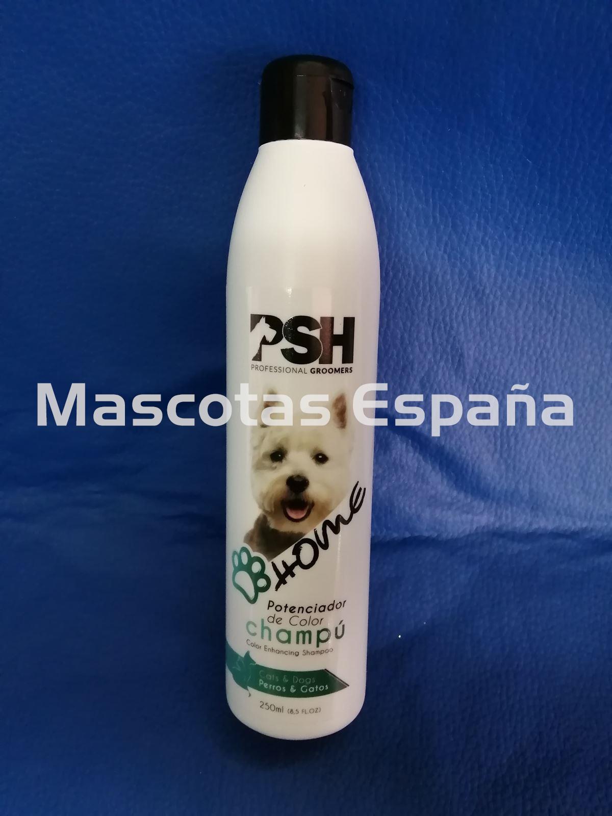 PSH HOME Potenciador de Color Champú (Color Enhancing Shampoo) 250ml - Imagen 1