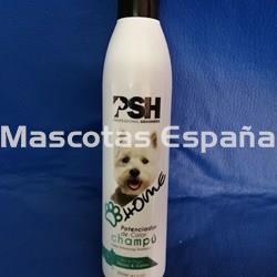 PSH HOME Potenciador de Color Champú (Color Enhancing Shampoo) 250ml - Imagen 1