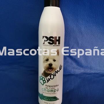 PSH HOME Potenciador de Color Champú (Color Enhancing Shampoo) 250ml - Imagen 1