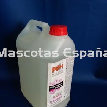 PSH White Titanium Shampoo (Champú Blanco Titanio) 5L - Imagen 1