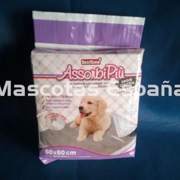 RECORD AssorbiPiú Carbón Activo 60X60 (10Pz) - Imagen 1