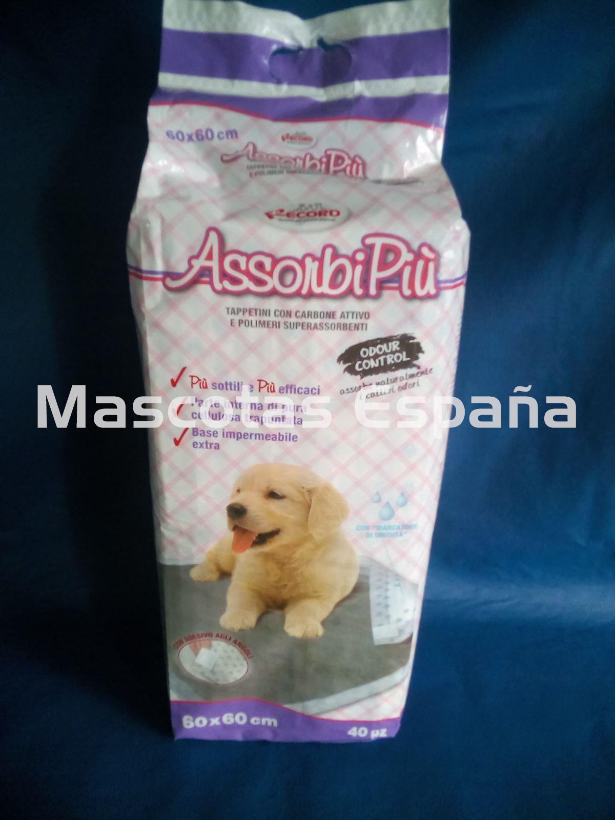 RECORD AssorbiPiú Carbón Activo 60X60 (40Pz) - Imagen 1