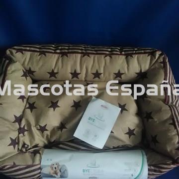 RECORD Cama Acolchada AntiBacteriana Estrellas (60X45X17cm) - Imagen 1