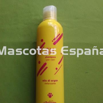 RECORD Champú Aceite de Argán 250ml - Imagen 1