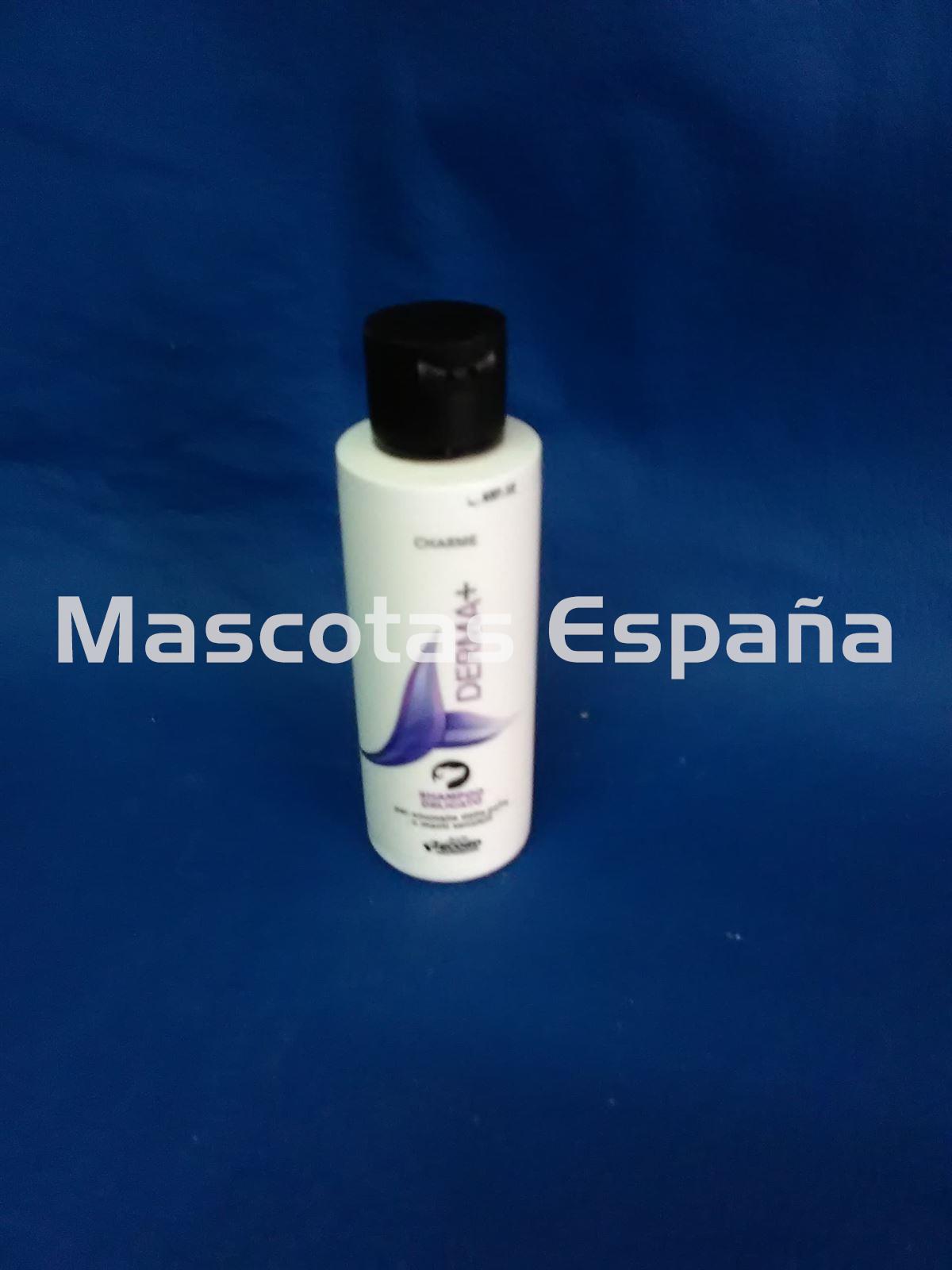 RECORD Charme Shampoo Derma+ 100ml - Imagen 1