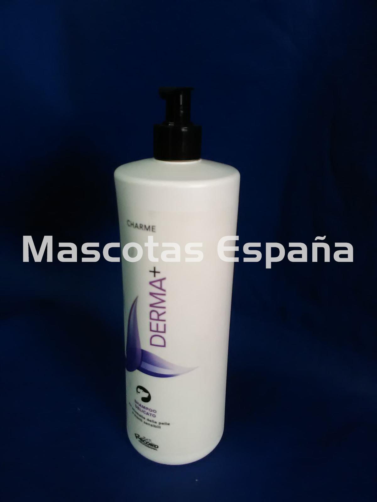 RECORD Charme Shampoo Derma+ 1L - Imagen 1