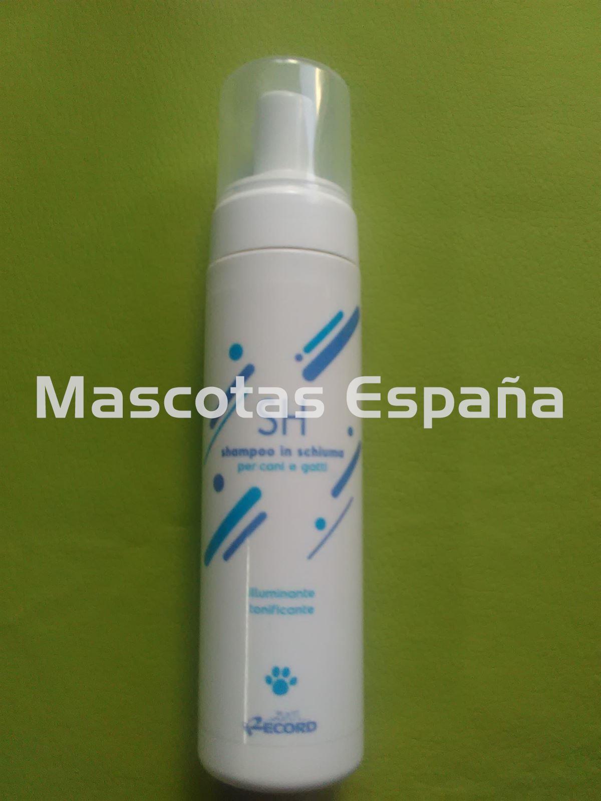 RECORD Espuma Tonificante 200ml - Imagen 1