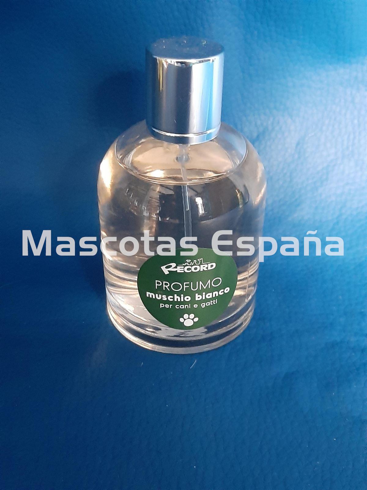 RECORD Perfume Musgo Blanco 100ml - Imagen 1