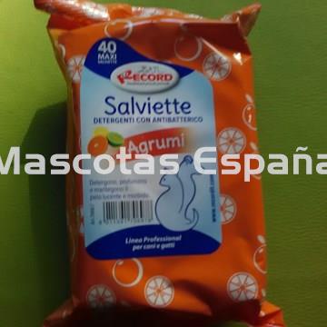 RECORD Toallitas Antibacterianas Cítrico - Imagen 1