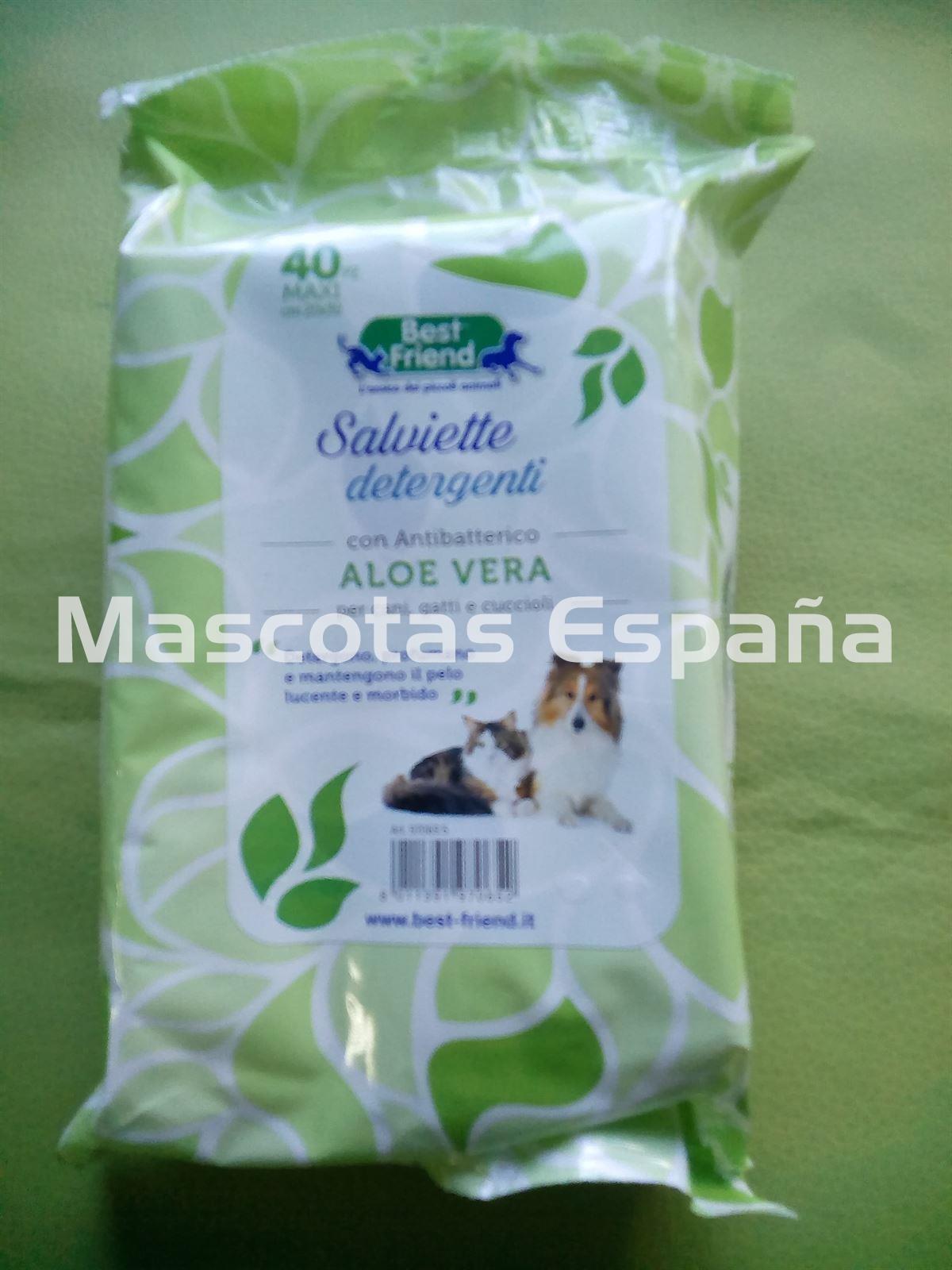 RECORD Toallitas Antibacterianas Olor Aloe Vera 40un - Imagen 1