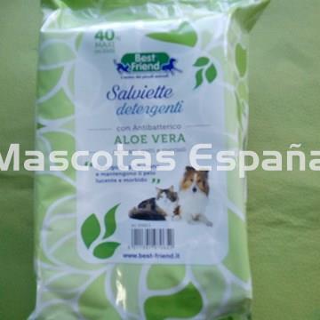 RECORD Toallitas Antibacterianas Olor Aloe Vera 40un - Imagen 1