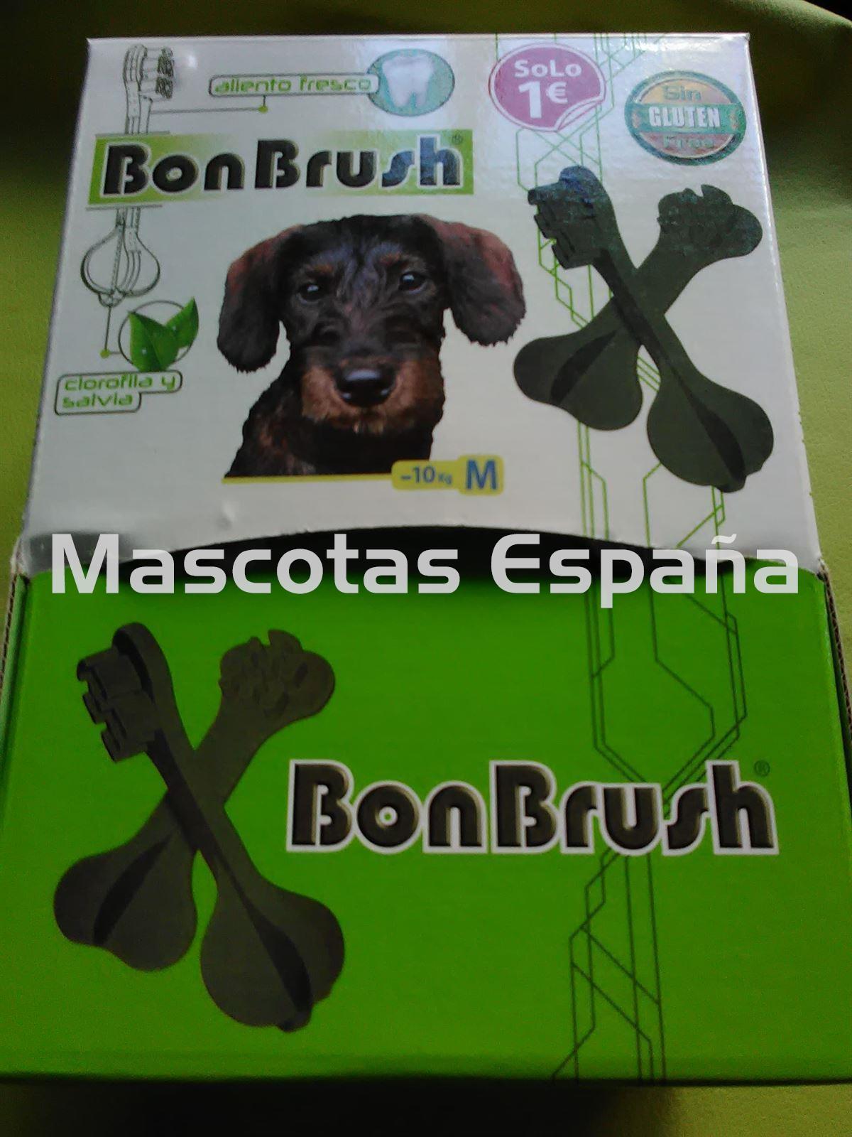 SAN DIMAS Snack Tasty BonBrush M (Caja 40un) - Imagen 1