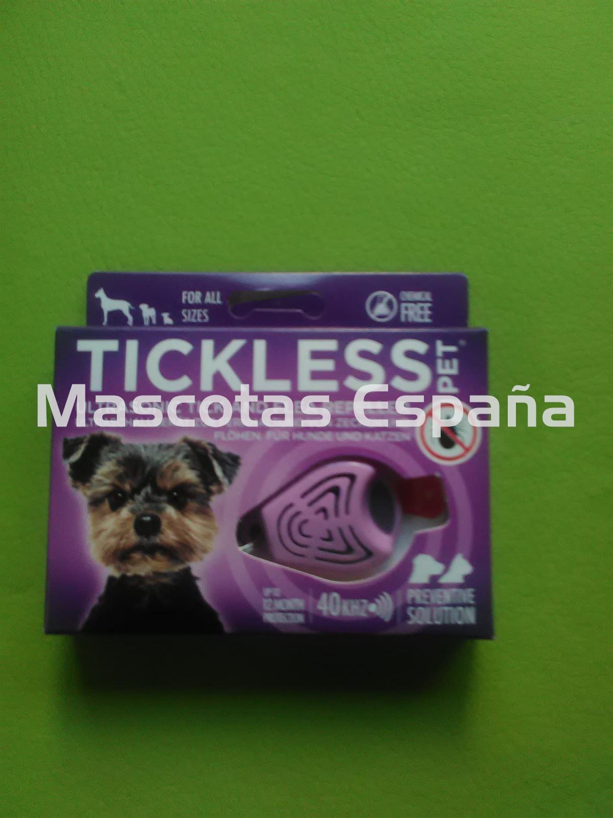 SAN DIMAS Tickless Malva - Imagen 1